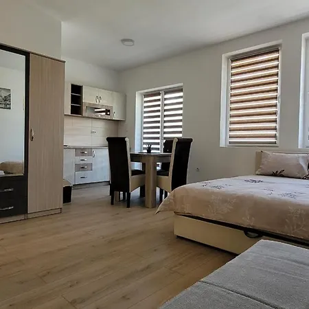 Zvezdana Апартаменты Врнячка-Баня