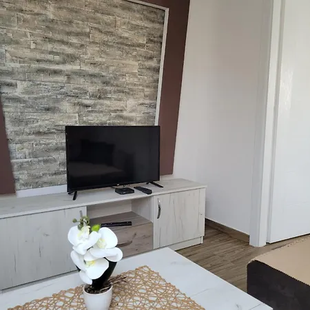 Zvezdana Апартаменты Врнячка-Баня