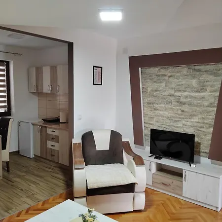 Zvezdana Апартаменты Врнячка-Баня