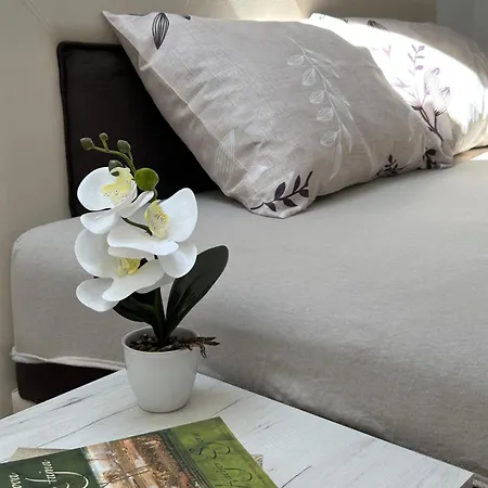 Апартаменты Zvezdana *