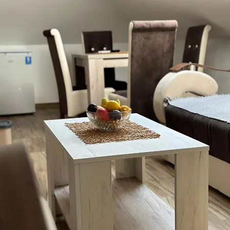 Zvezdana Врнячка-Баня