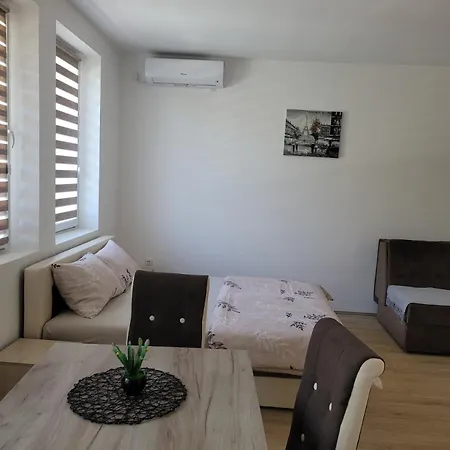 Zvezdana Апартаменты Врнячка-Баня