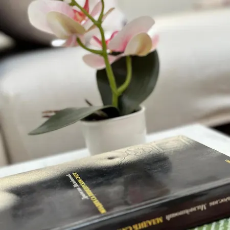 Апартаменты Zvezdana