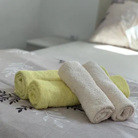 Zvezdana Апартаменты Врнячка-Баня