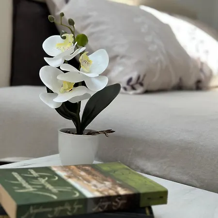 Апартаменты Zvezdana Врнячка-Баня