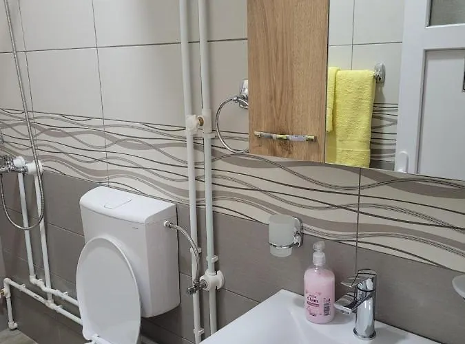 Zvezdana Appartamento Vrnjačka Banja