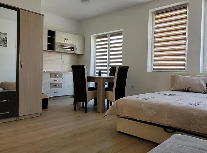 Zvezdana Appartamento Vrnjačka Banja