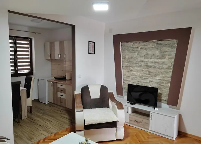 Zvezdana Appartamento Vrnjačka Banja