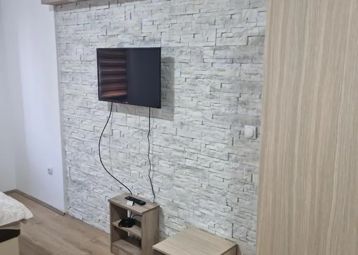 Zvezdana Appartamento Vrnjačka Banja