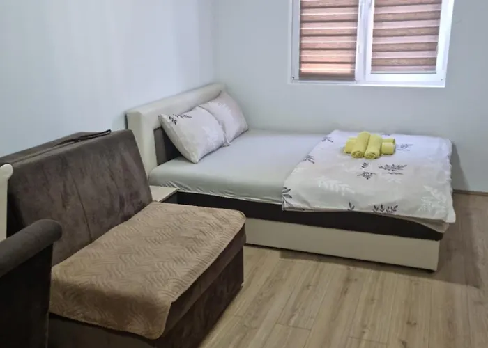 Zvezdana Vrnjačka Banja