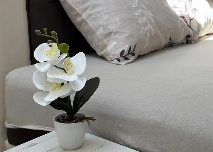 Appartamento Zvezdana *