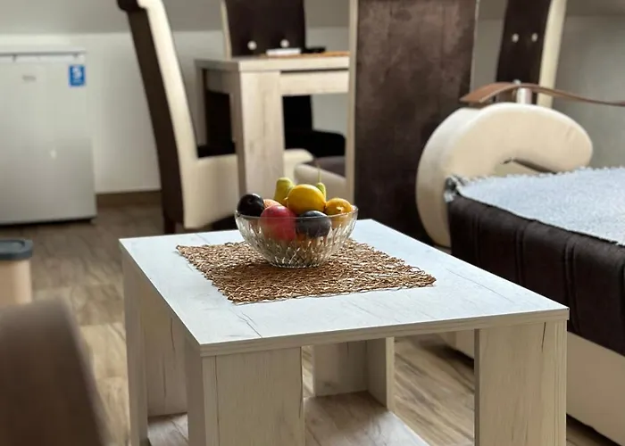 Zvezdana Vrnjačka Banja