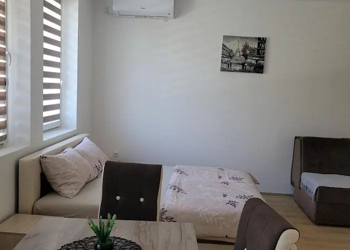 Zvezdana Appartamento Vrnjačka Banja