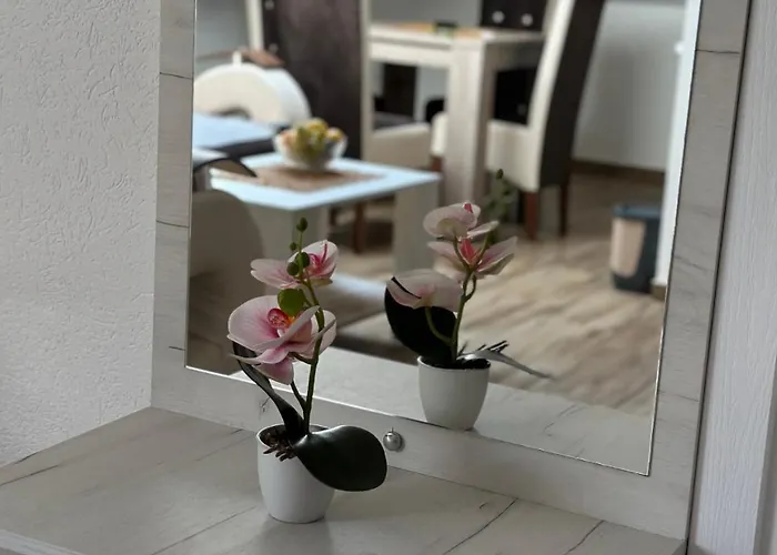 Zvezdana Appartamento