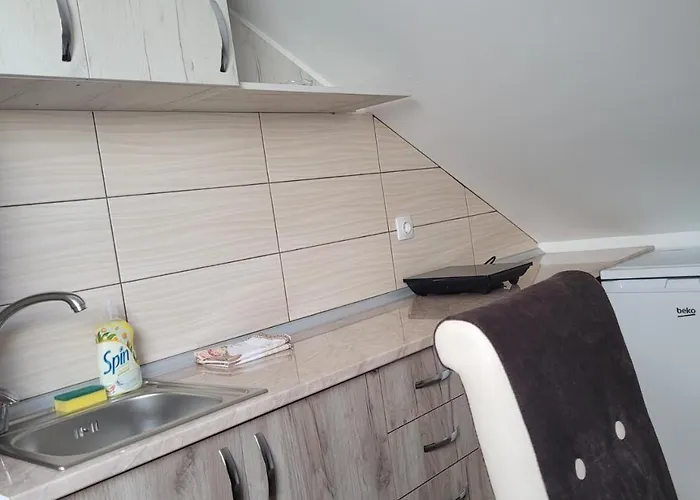 Zvezdana Appartamento Vrnjačka Banja